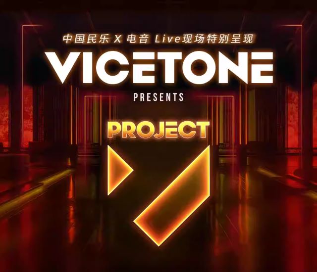 Vicetone成都演唱会1.jpg